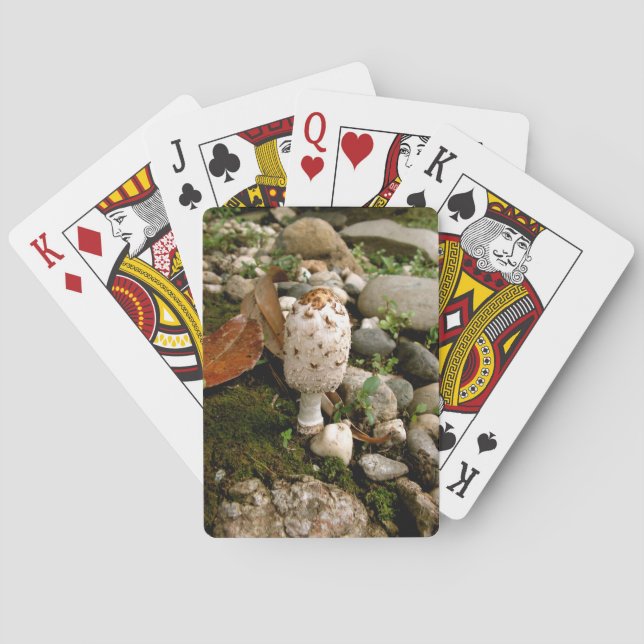 Vild svamp på en mosskulle casinokort (Baksidan)