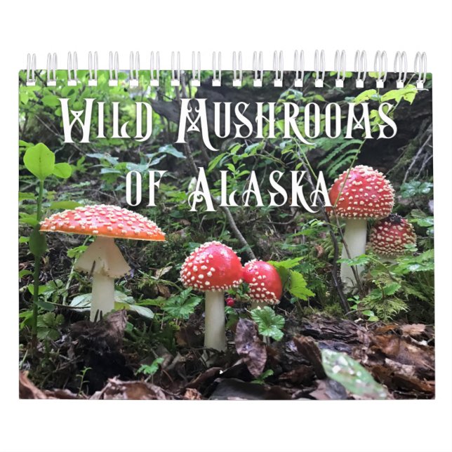 Vild Svampar i Alaska - liten kalender (Omslag)