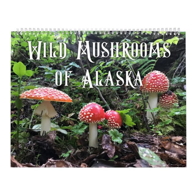 Vild Svampar i Alaska - stor kalender (Omslag)