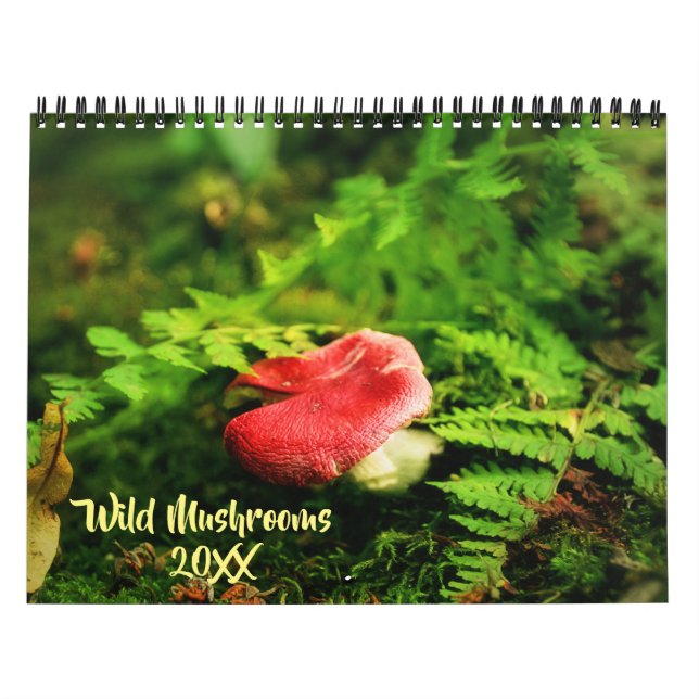 Vild Svampar och naturfotografi Kalender (Omslag)