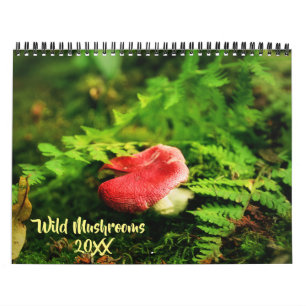 Vild Svampar och naturfotografi Kalender
