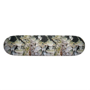 Vild Svampar Old School Skateboard Bräda 18 Cm