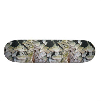 Vild Svampar Old School Skateboard Bräda 18 Cm