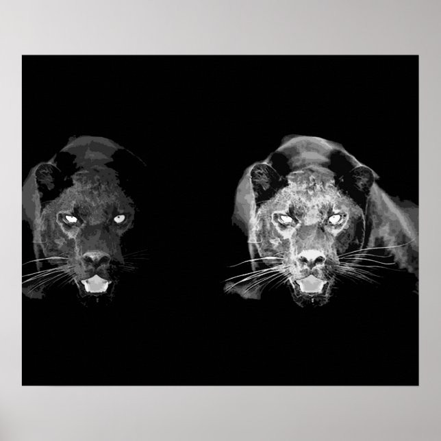 Vild svart jaguar katt ögon affisch (Framsidan)