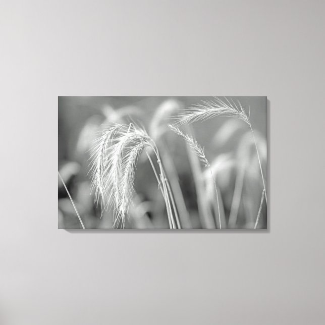 Vild - Svartvit Canvastryck (Framsida)