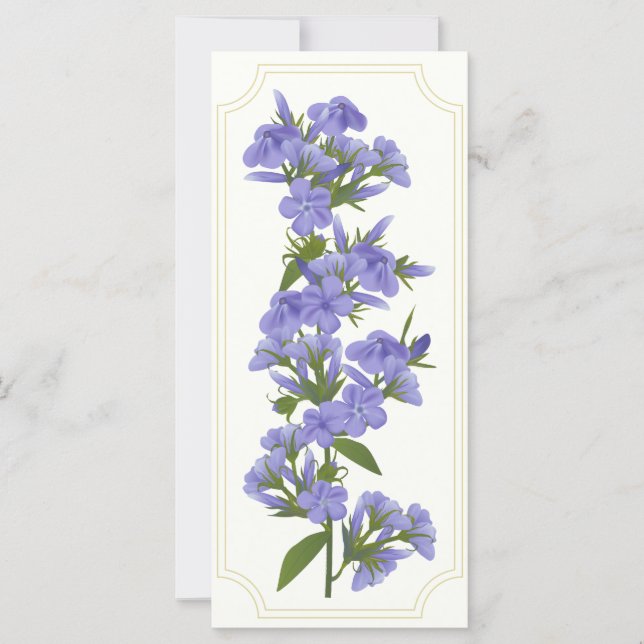 Vild Sweet William Rack Card (Framsida)