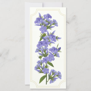 Vild Sweet William Rack Card