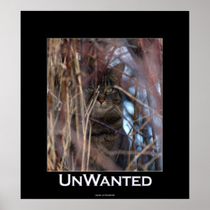 Vild Tabby katt Demoyrkesmässiga djur Poster