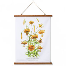 Vild Tiger Lilies Blommigt Botanical Art