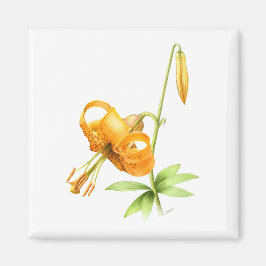 Vild Tiger Lily Magnet