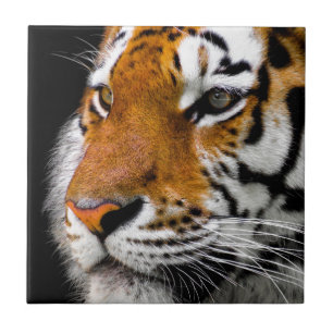 Vild Tiger Öga Kakelplatta