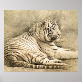 Vild Tiger Safari Jungle Artwork Photo Poster