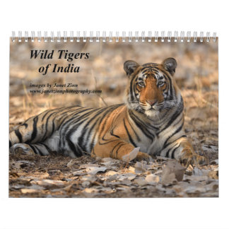 Vild Tigers of India Calendar Kalender