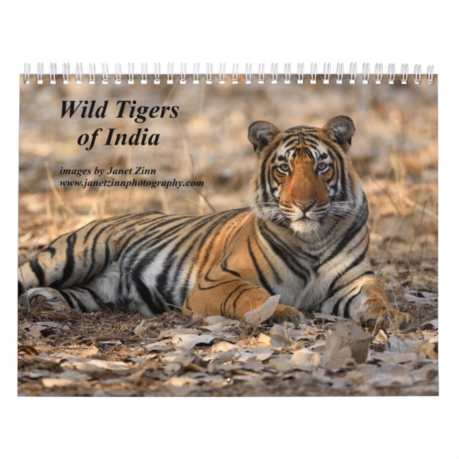 Vild Tigers of India Calendar Kalender (Omslag)