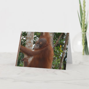 Vild till dig Valentine Mohawk Hairdo Helgkort