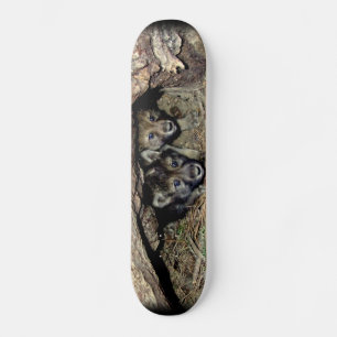 Vild Timber Varg Twin Unge i Den Skateboard Bräda 21,5 Cm