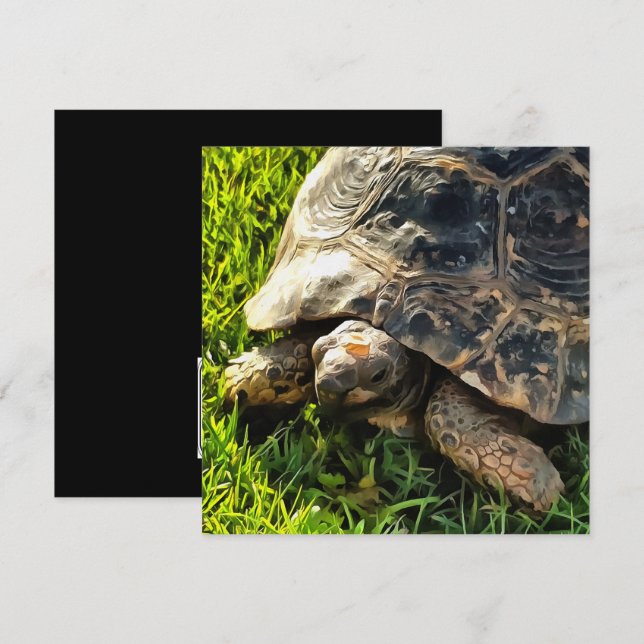 Vild Tortoise in Grass Meadow Wildlife Art Inbjudningar (Fram/baksida)