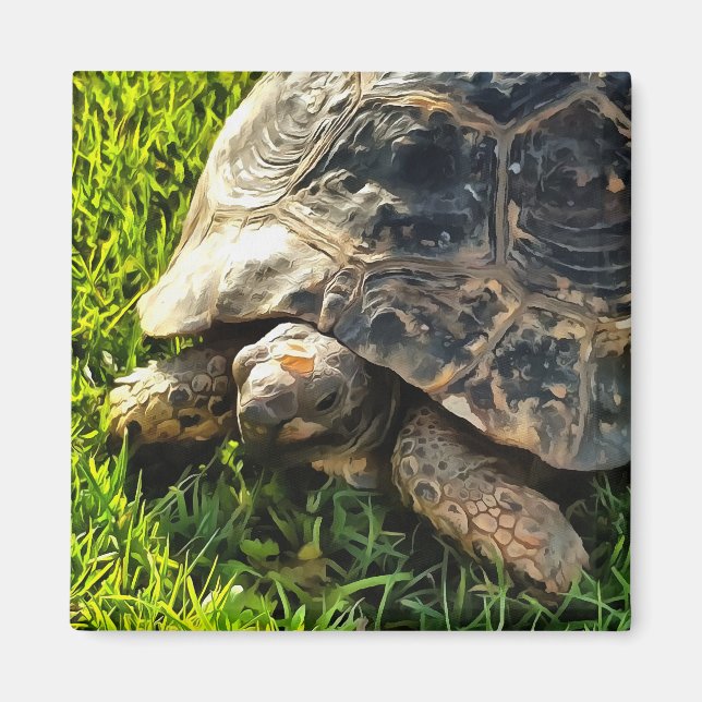Vild Tortoise in Grass Meadow Wildlife Art Magnet (Framsidan)