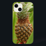 Vild Tropiska frukter av ananas<br><div class="desc">Jag tänka av ananas som exotisk frukt som man bara kan hitta i butiker, men i Karibien ökar de ibland vilden. En ananas vild i tropiska löv är subjekt på denna naturscen från Grenada. Kolla in vår butik för fler tropiska öfoton. Det här bild är också tapet som "Vild Pineapple"...</div>