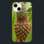 Vild Tropiska frukter av ananas<br><div class="desc">Jag tänka av ananas som exotisk frukt som man bara kan hitta i butiker, men i Karibien ökar de ibland vilden. En ananas vild i tropiska löv är subjekt på denna naturscen från Grenada. Kolla in vår butik för fler tropiska öfoton. Det här bild är också tapet som "Vild Pineapple"...</div>