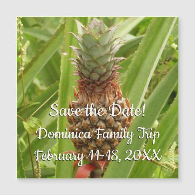 Vild Tropiska frukter av ananas (Framsida)