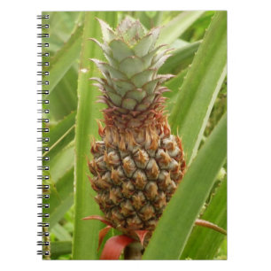 Vild Tropiska frukter av ananas Anteckningsbok