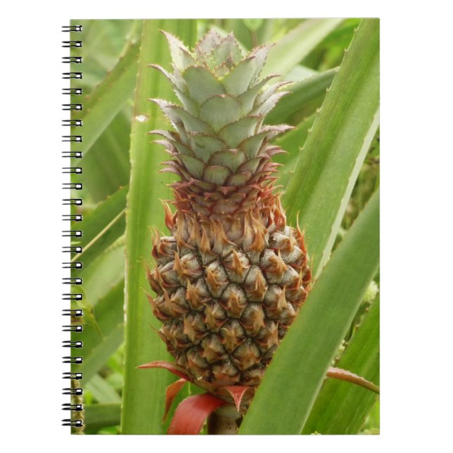 Vild Tropiska frukter av ananas Anteckningsbok (Framsidan)