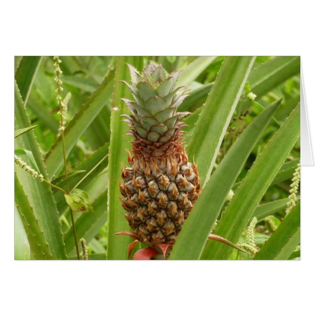 Vild Tropiska frukter av ananas Hälsningskort (Framsidan Horizontal)