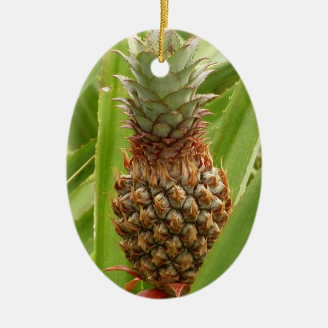 Vild Tropiska frukter av ananas Julgransprydnad Keramik (Framsidan)