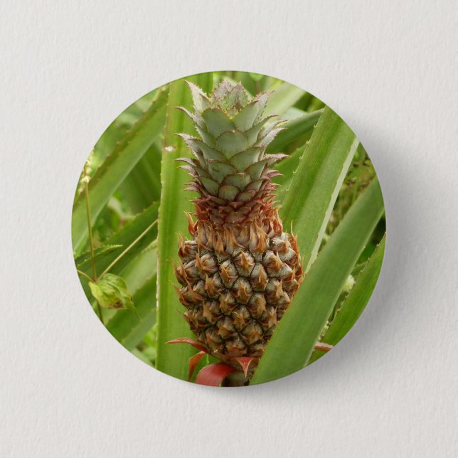 Vild Tropiska frukter av ananas Knapp (Framsida)