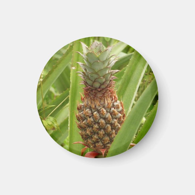 Vild Tropiska frukter av ananas Magnet (Framsidan)