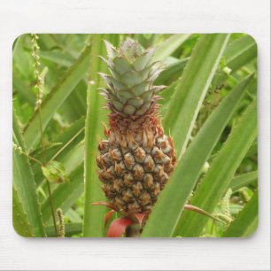 Vild Tropiska frukter av ananas Musmatta