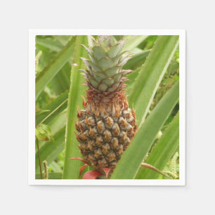 Vild Tropiska frukter av ananas Pappersservett