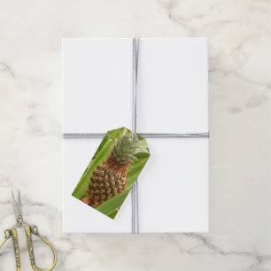 Vild Tropiska frukter av ananas Presentetikett