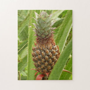 Vild Tropiska frukter av ananas Pussel