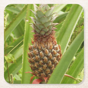Vild Tropiska frukter av ananas Underlägg Papper Kvadrat