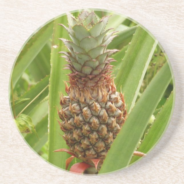 Vild Tropiska frukter av ananas Underlägg Sandsten (Framsidan)
