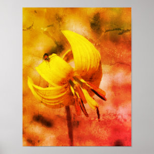 Vild Trout Lily Flower och Insekt Friend Abstrakt Poster
