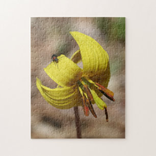 Vild Trout Lily Flower och Insekt Friend Pussel