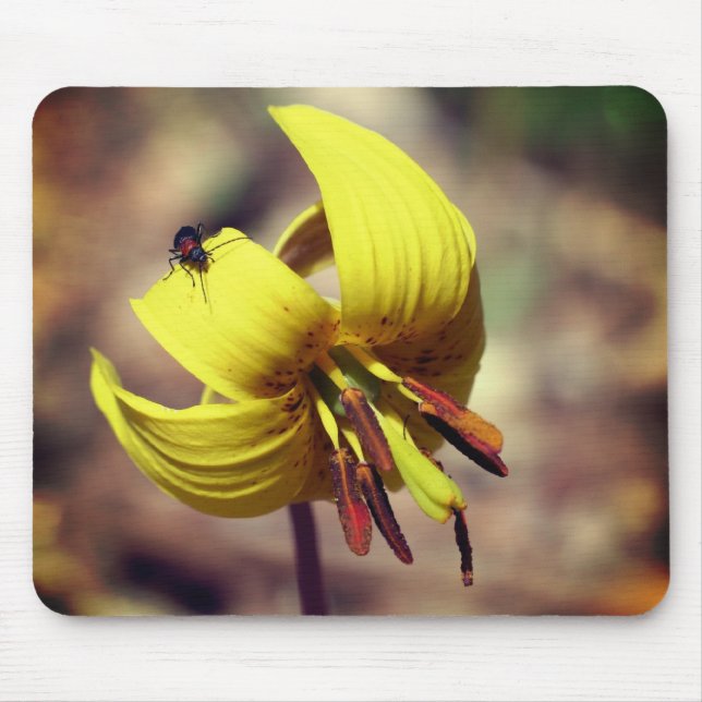 Vild Trout Lily och Friend Flower Musmatta (Framsidan)