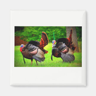Vild Turkey Decorated Magnet
