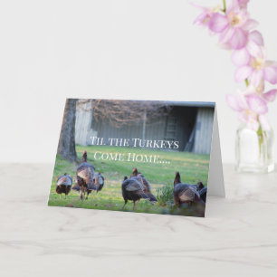 Vild Turkey Funny Kort
