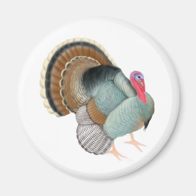 Vild Turkey Magnet (Framsidan)
