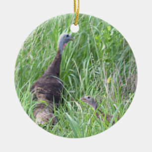 Vild Turkey Ornament