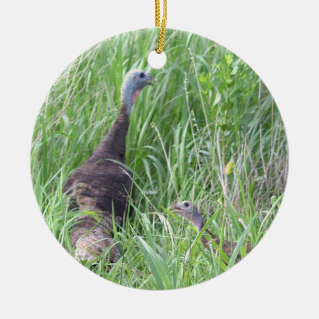 Vild Turkey Ornament (Framsidan)