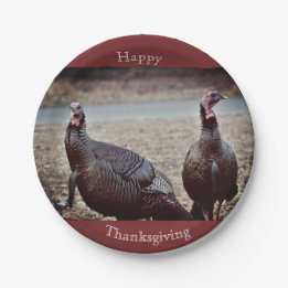 Vild Turkey Thanksgiving Papper Plate