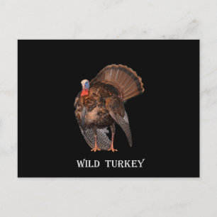 Vild Turkiet (Alabama, Massachusetts, Oklahoma) Vykort