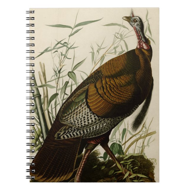 Vild Turkiet Anteckningsbok (Framsidan)