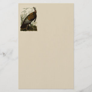 Vild Turkiet av John Audubon Brevpapper
