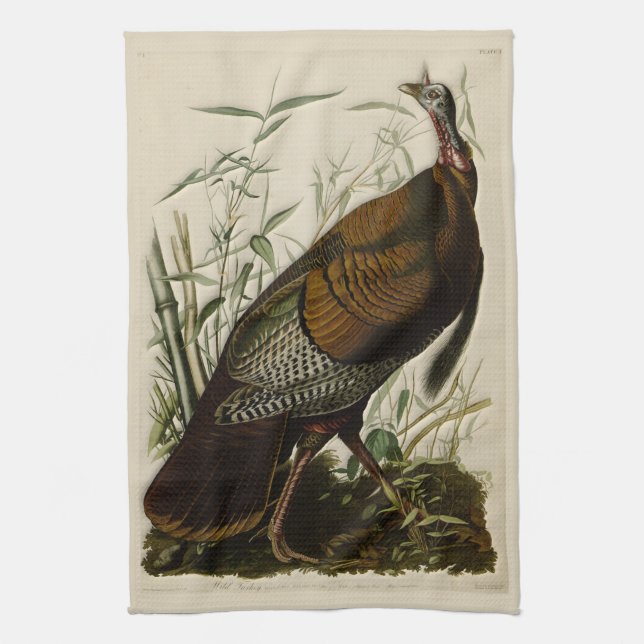 Vild Turkiet av John Audubon Kökshandduk (Vertikal)